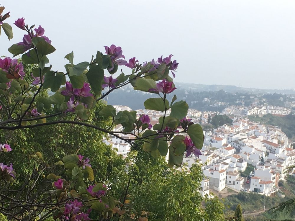 Frigiliana