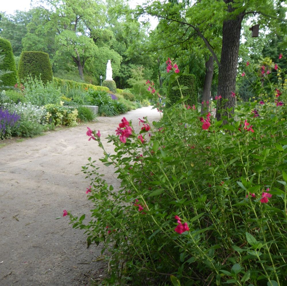 Madrids botaniska trädgård, en rofylld och vacker oas